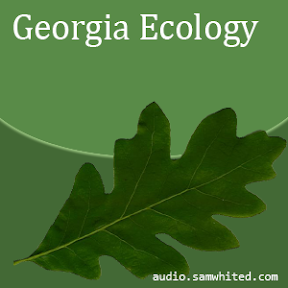 Georgia Ecology cover